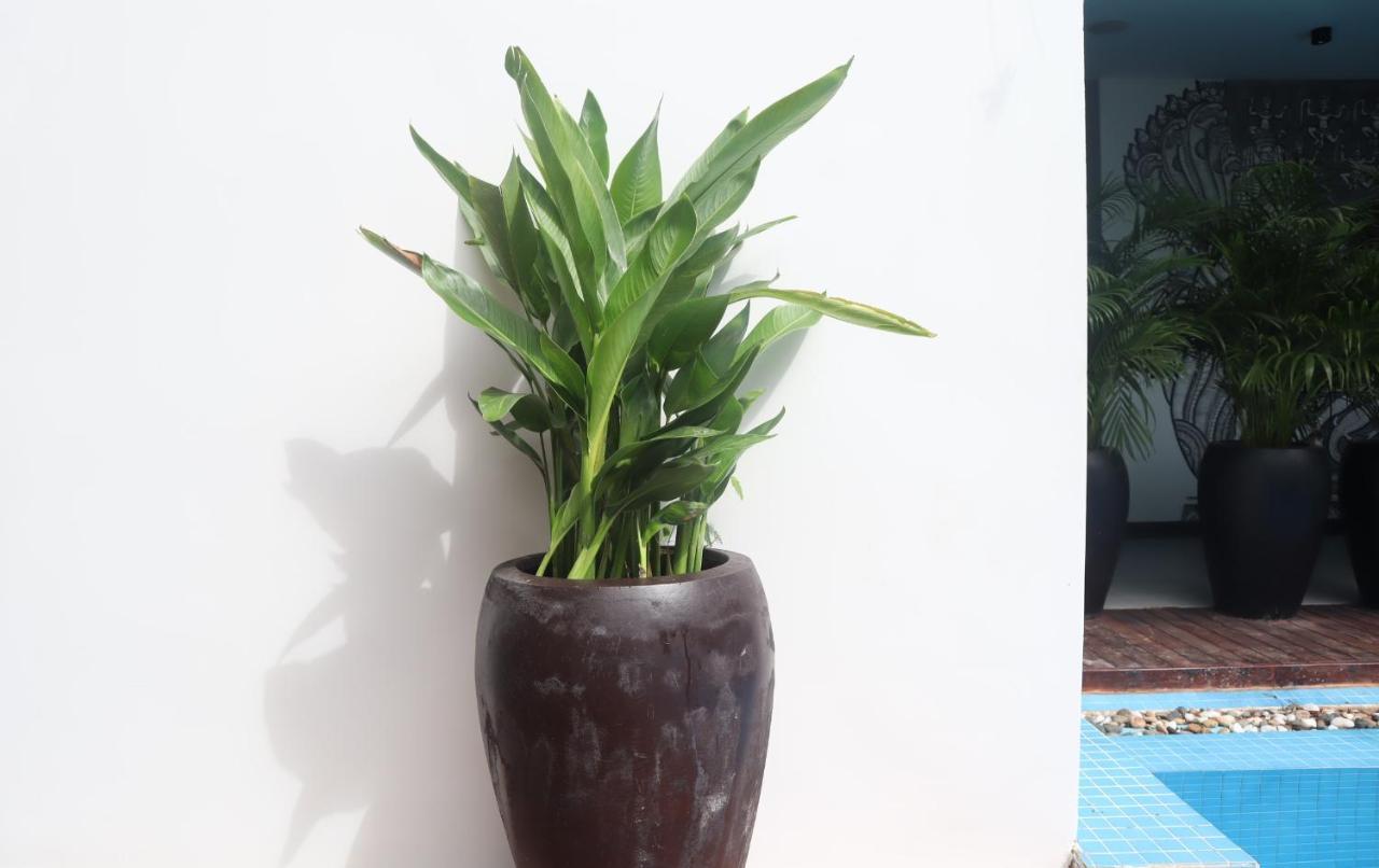 Siem Reap Palace Hotel&Spa Buitenkant foto